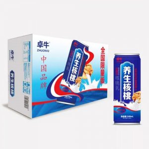 涪江源養生核桃植物蛋白飲料