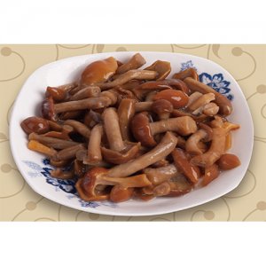 興隆堡滑子蘑