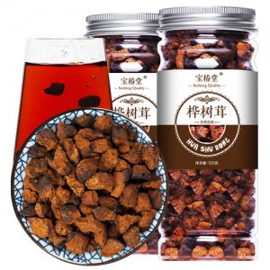 寶椿堂樺樹茸125g