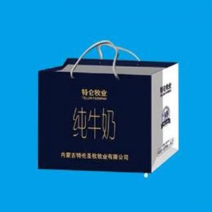 圣特貴族純牛奶箱裝