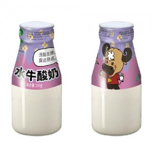 桂牛水牛酸奶200g