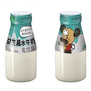 桂牛益生菌水牛奶200ml