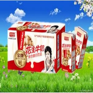 樂源核桃花生牛奶