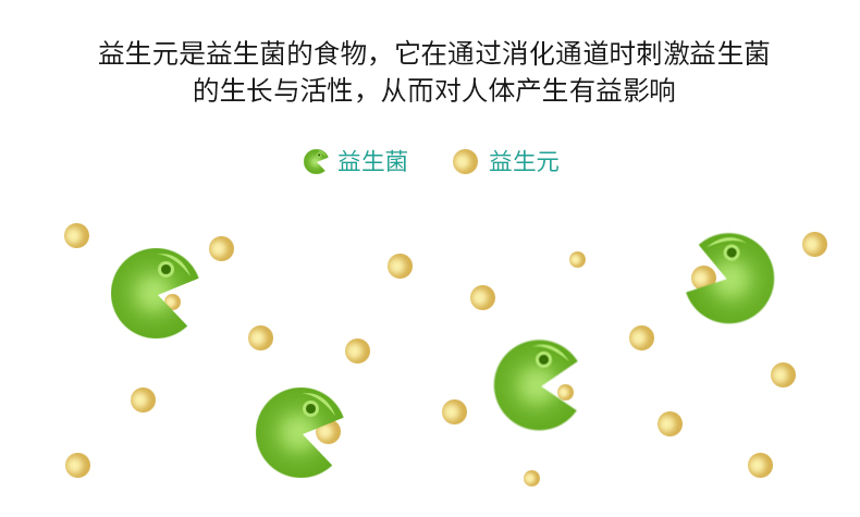 益生菌2_06.jpg