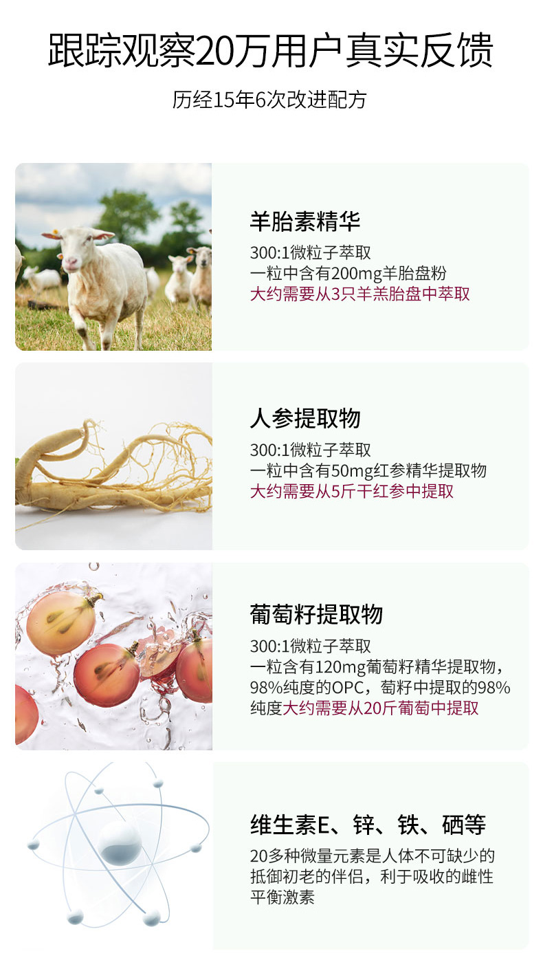 羊_08.jpg