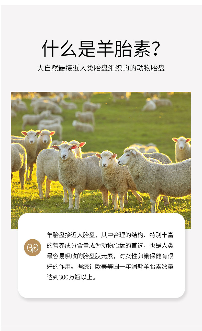 羊_05.jpg