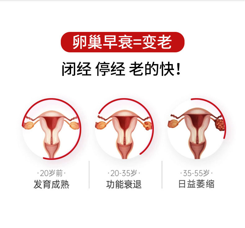 鹿_04.jpg