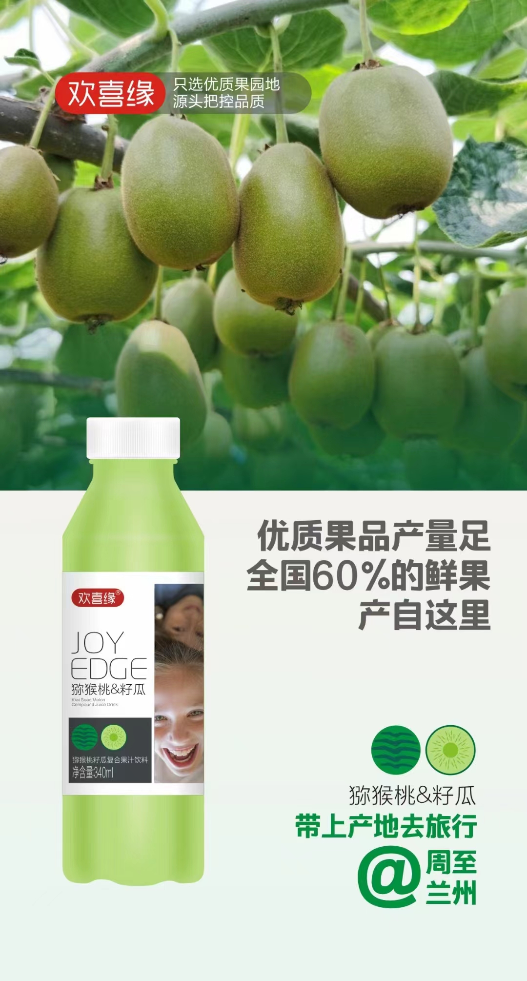 獼猴桃籽瓜復合果汁飲料7.jpg