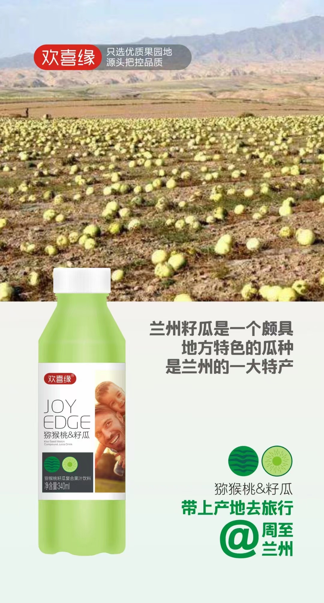獼猴桃籽瓜復(fù)合果汁飲料5.jpg