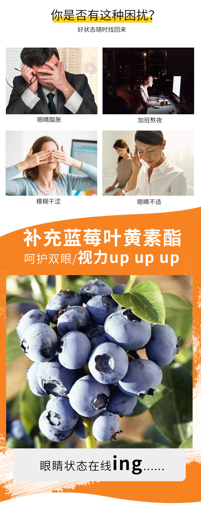 3-詳情圖.jpg