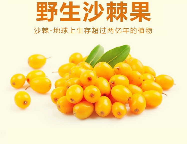 5-詳情圖.jpg