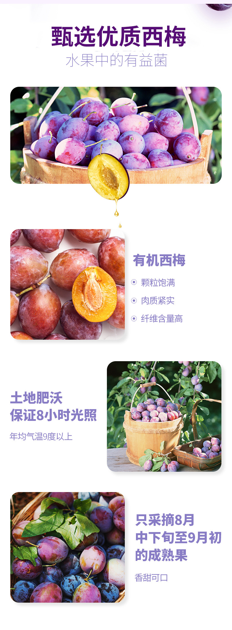 10-詳情圖.jpg