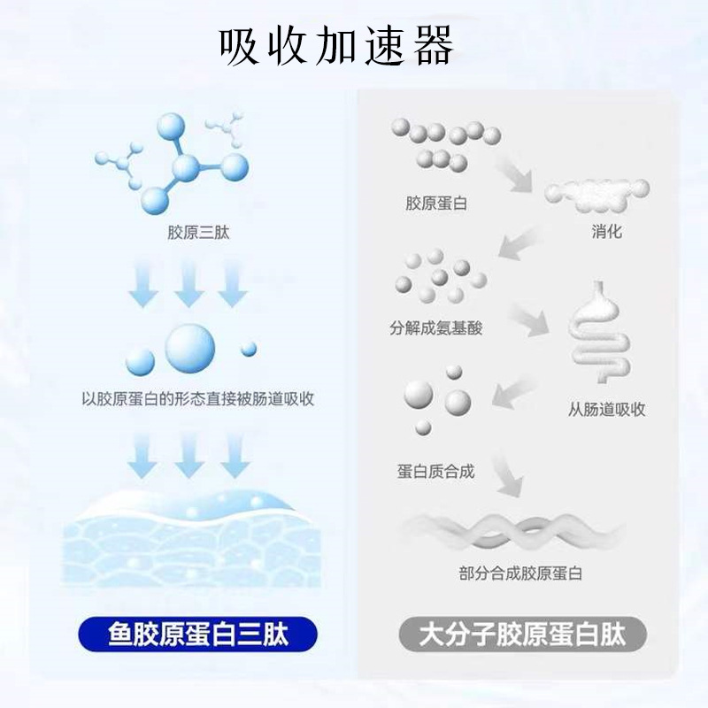 5-主圖.jpg