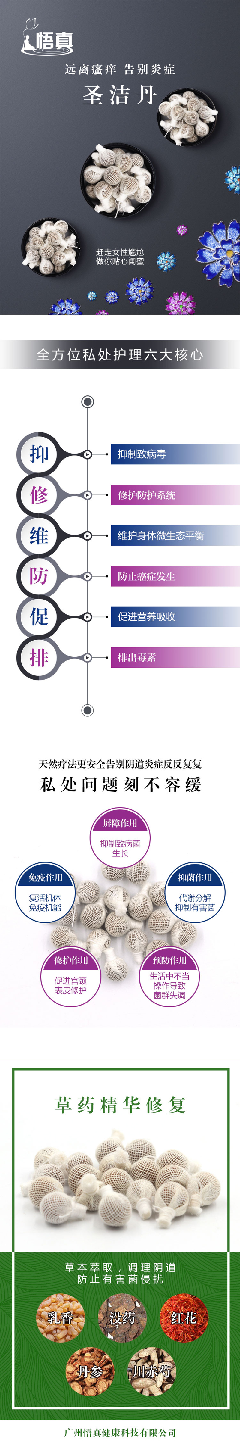 圣潔丹 (3).jpg