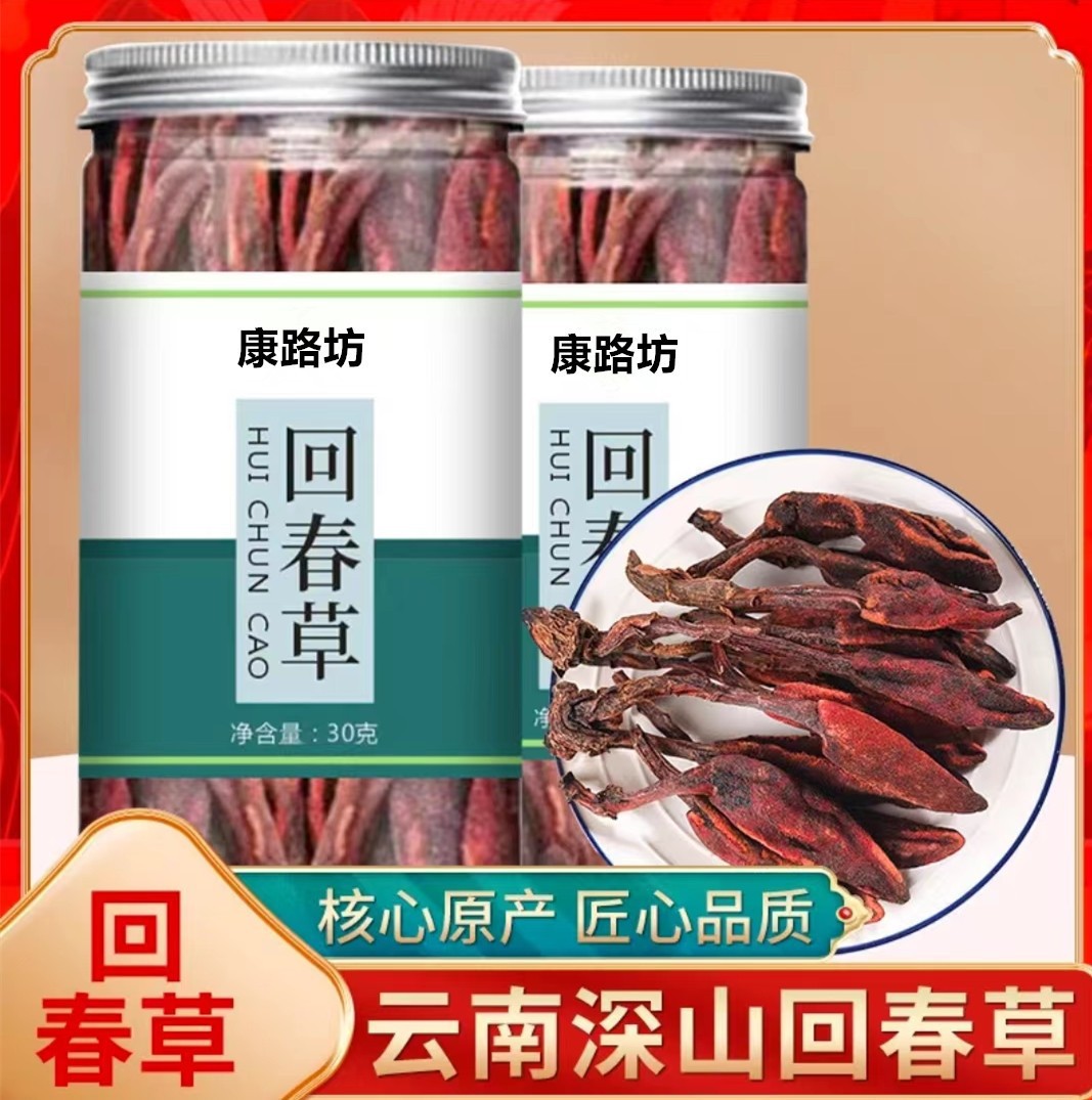 野生回春草 不老草 草蓯蓉 頂天柱 泡酒煲湯滋補(bǔ)批發(fā)零售一手貨源.jpg