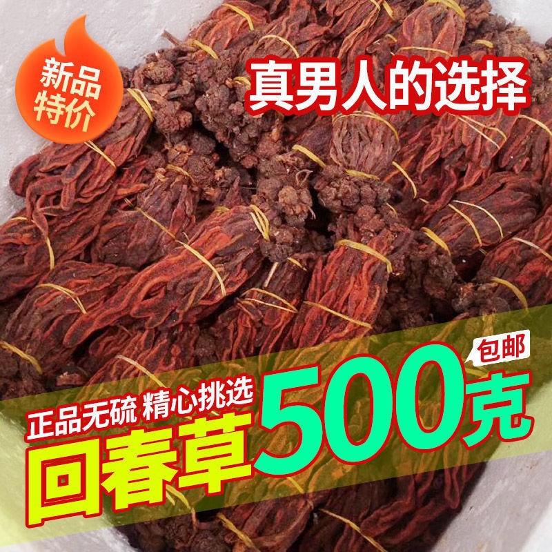 云南回春草野生500克 新貨正品擎天柱回春草批發(fā)價(jià) 干貨 一手貨源.jpg