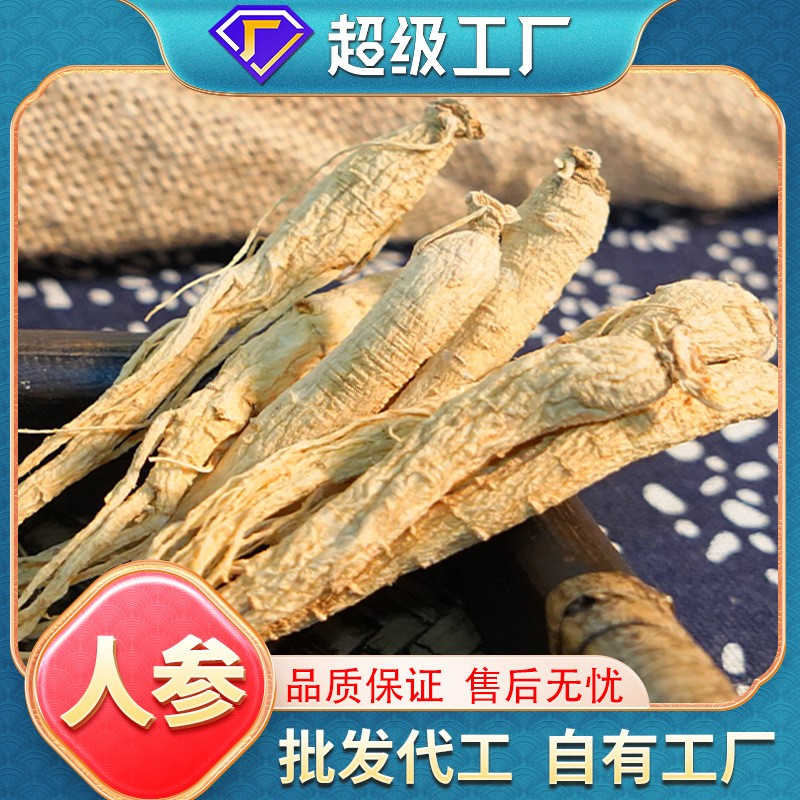 OEM加工定制山參干人參批發火鍋煲湯泡酒無熏硫整枝生曬參代發.jpg
