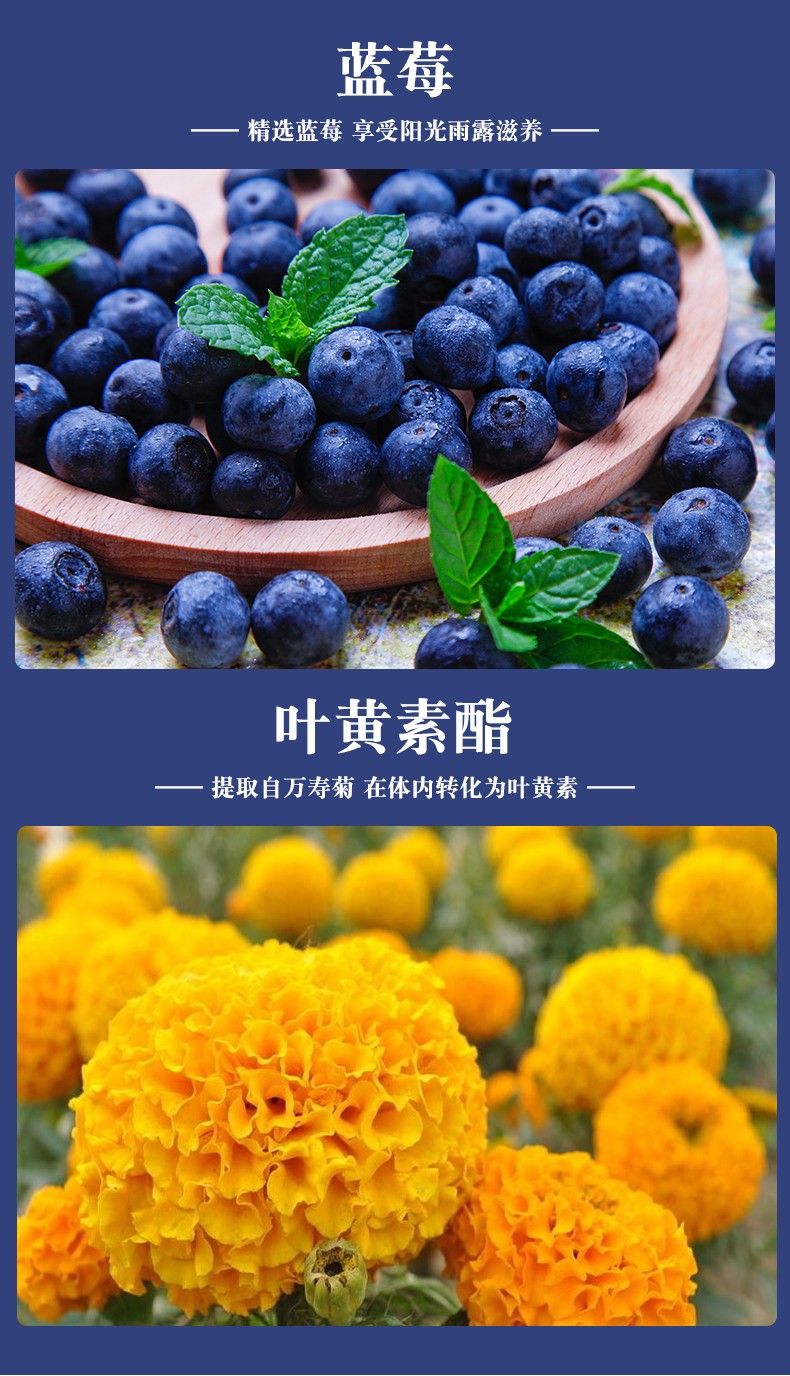 詳情_04.jpg