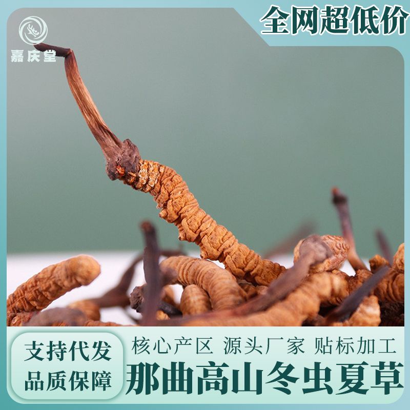 那曲冬蟲夏草源頭產地直收正品實體看貨蟲草滋補品批發代發非青海.jpg