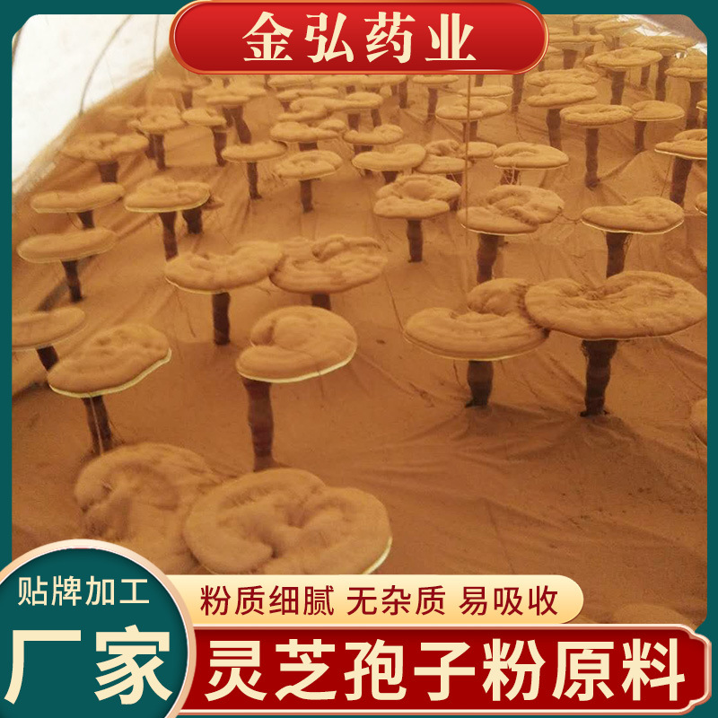 廠家原料破壁靈芝孢子粉 破壁孢子粉原料備案.jpg