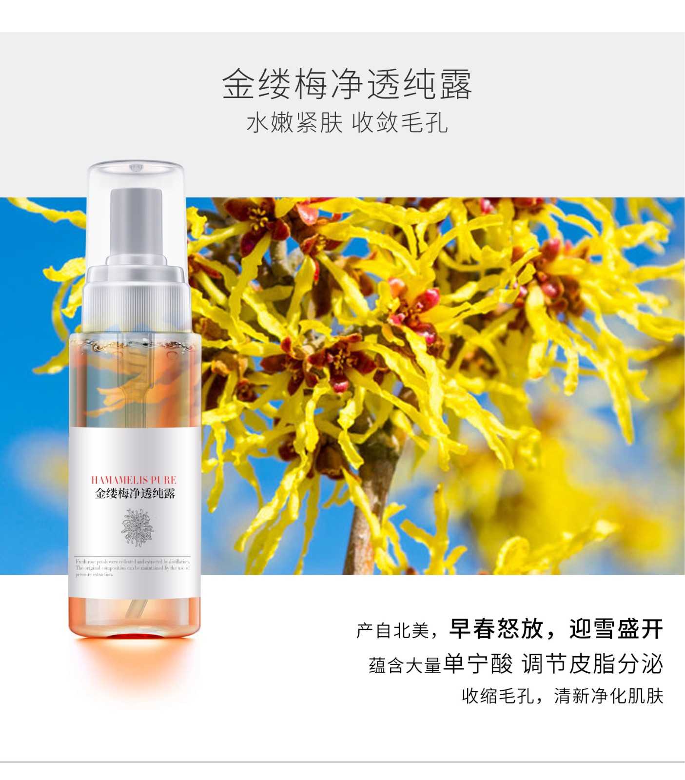 植物純露系列_08.jpg
