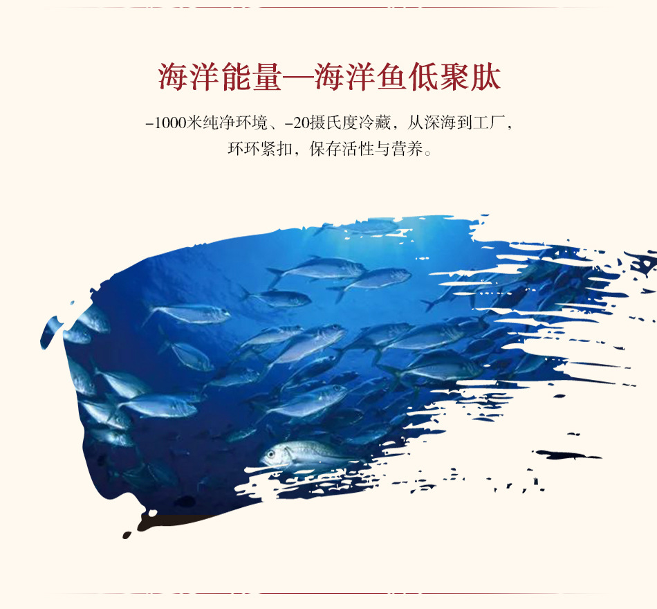 描述圖_04.jpg