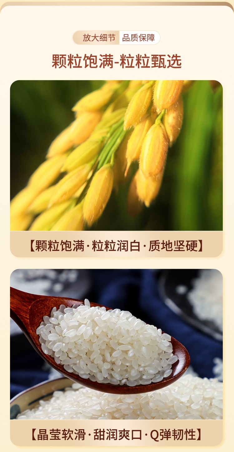 圓粒_04.jpg