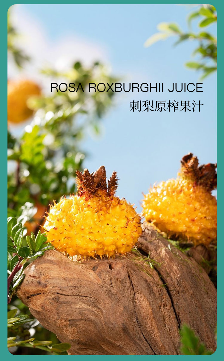 刺梨膠原蛋白肽果飲04.jpg
