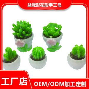 禮物香皂花盆皂可OEM/ODM代工