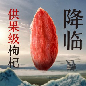 源鑫堂產地 枸杞 OEM/ODM定制代加工
