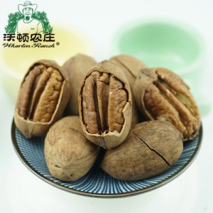 新貨碧根果生美國山核桃長壽果老人小孩零食堅果炒貨干果原味貼牌OEM/ODM