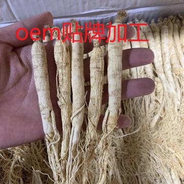 長白山人參2~3克貼牌OEM/ODM