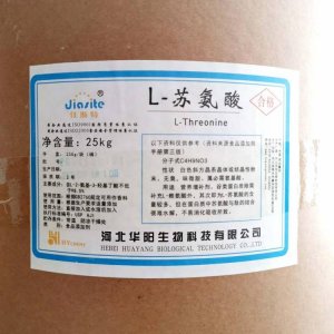 蘇氨酸 華陽L-蘇氨酸 貼牌OEM/ODM