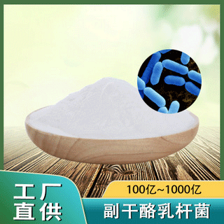 副干酪乳桿菌代加工貼牌OEM/ODM