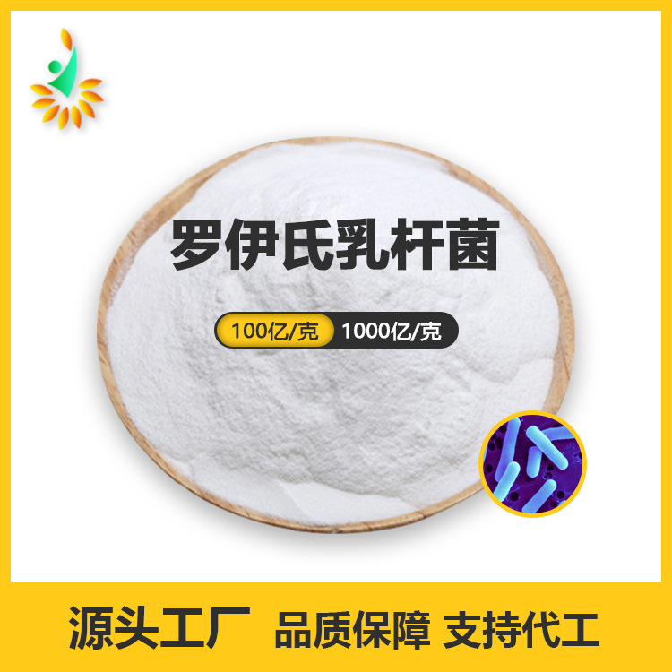 羅伊氏乳桿菌OEM/ODM代加工
