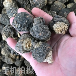 黑瑪卡散裝OEM/ODM定制代加工