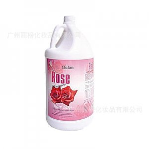 發廊美發用品洗發露