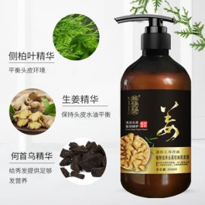 補水滋養(yǎng)柔順去屑生姜洗發(fā)水