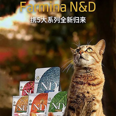 甜橙無(wú)谷成幼貓糧貼牌OEM/ODM