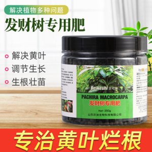 發財樹用肥料OEM代加工