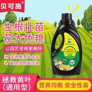 植物花卉營養液 花肥料貼牌OEM/ODM