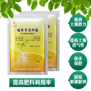 枯草芽孢桿菌OEM代加工
