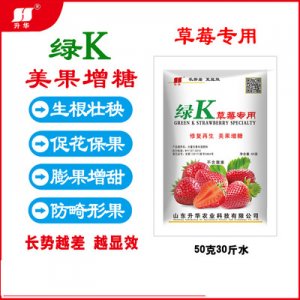 草莓膨果增甜葉面肥貼牌定制代加工