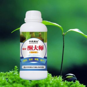 青島中科利農光碳能量研發有限公司
