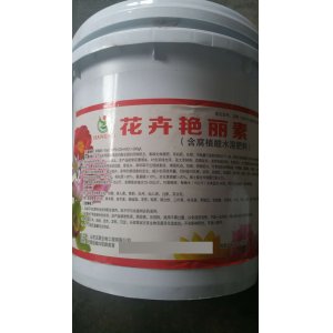 花卉艷麗素貼牌OEM/ODM