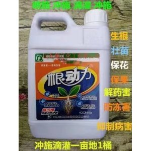 根動(dòng)力通用生根液貼牌定制代加工