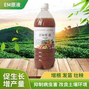 復合益生菌發酵原液貼牌定制代加工