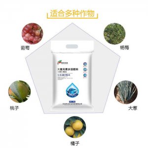 風光農業水溶肥草莓 肥貼牌定制代加工