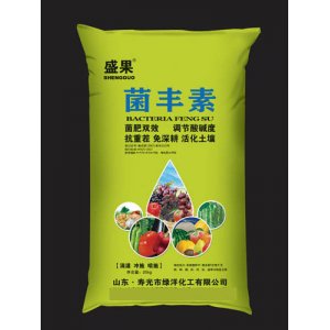 山東綠洋生態肥業有限公司