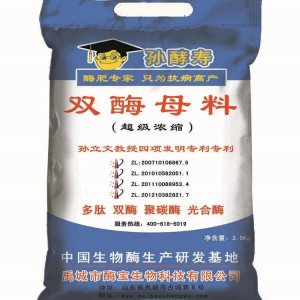 雙酶母料OEM/ODM代加工
